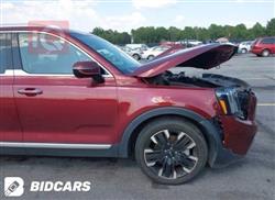 كيا تيلوريد